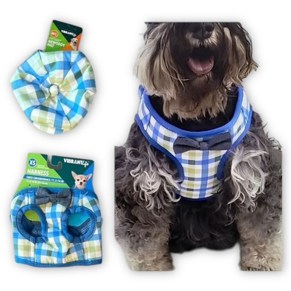 Vibrant Life Dog Plaid Bow Tie Harness - Picture 10 of 15